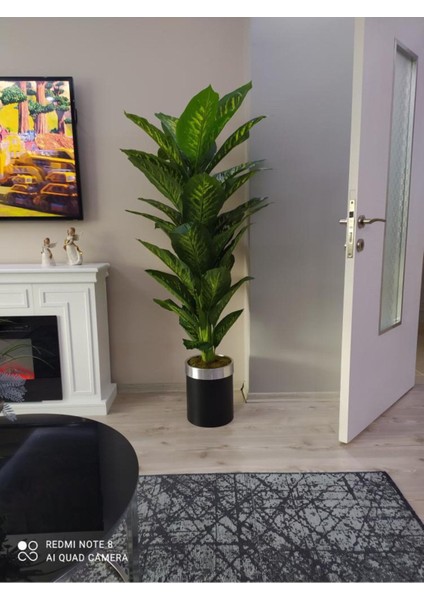 Yapay Cicek Yapay Agac Difenbahya 160 cm Siyah Gümüş