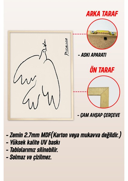 Ahşap Çerçeveli Mdf Tek Tablo Picasso Serisi (Kendi Tablo Setinizi Oluşturacağınız Liste) Çerçeveli 1187