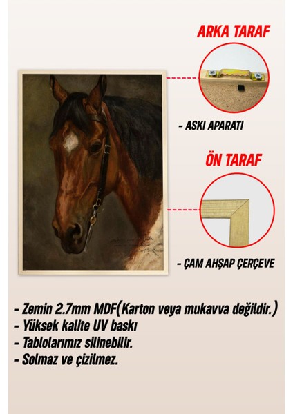 Ahşap Çerçeveli Mdf Tek Tablo Yağlı Boya Serisi (Kendi Tablo Setinizi Oluşturacağınız Liste) Çerçeveli 1194