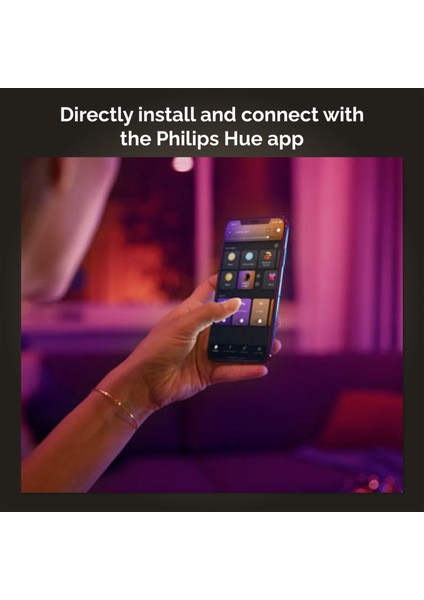 Hue Go Şarjlı Taşınabilir RGB Akıllı Lamba v2