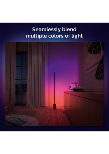 Hue Gradient Signe Zemin Işığı - Siyah