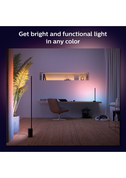 Hue Gradient Signe Zemin Işığı - Siyah