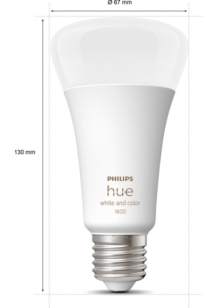HueWCA 13.5-100W E27 1600 Lumen Renkli Akıllı Ampul A67