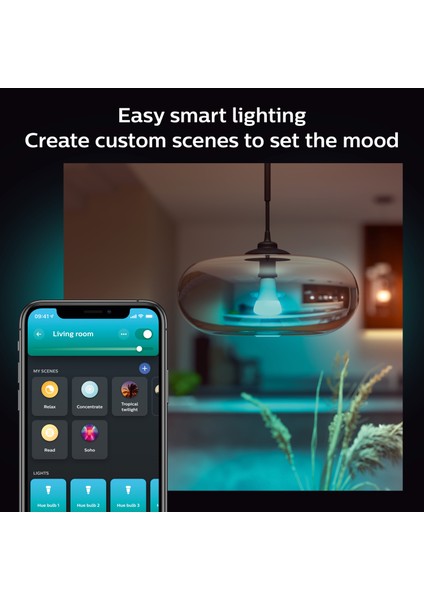 HueWCA 13.5-100W E27 1600 Lumen Renkli Akıllı Ampul A67
