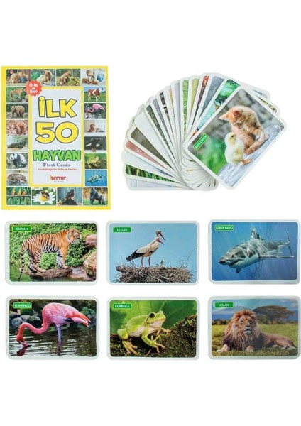 1352 F.cards Ilk 50 Hayvan