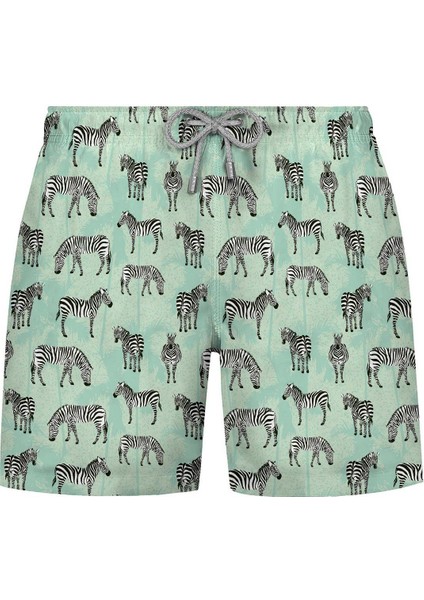 Erkek Şort Zebra-Mint 22701