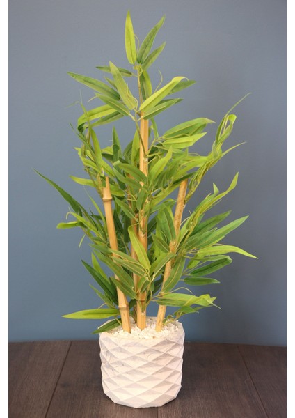 Saksıda Lüx Bambu Ağacı Açık Yeşil 65 cm (Taşlı Model) Yeşil