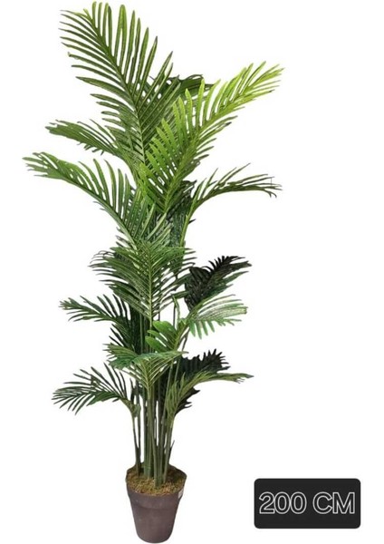 200 cm Yapay Areka Ağaç fırsatları