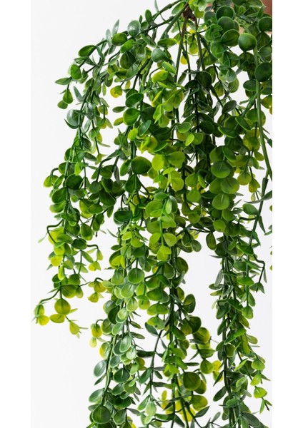 Yapay Okaliptus Sarmaşık 80 cm 5 Dal
