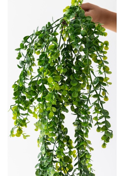 Yapay Okaliptus Sarmaşık 80 cm 5 Dal