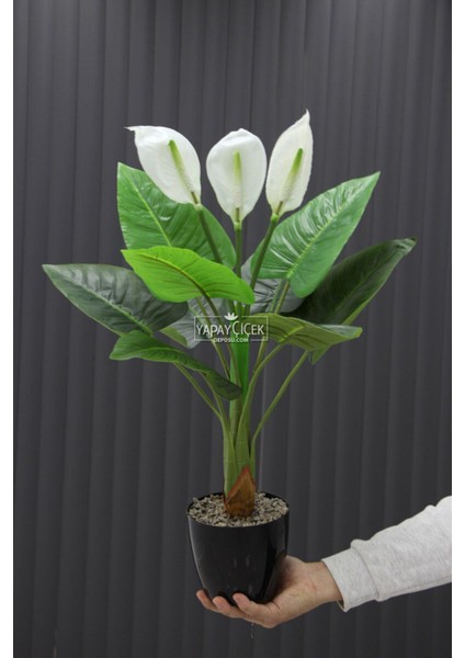 Yapay Ağaç Çiçekli Spatifilyum Bitkisi 70 cm (9 Yaprakli-3 Çiçekli)