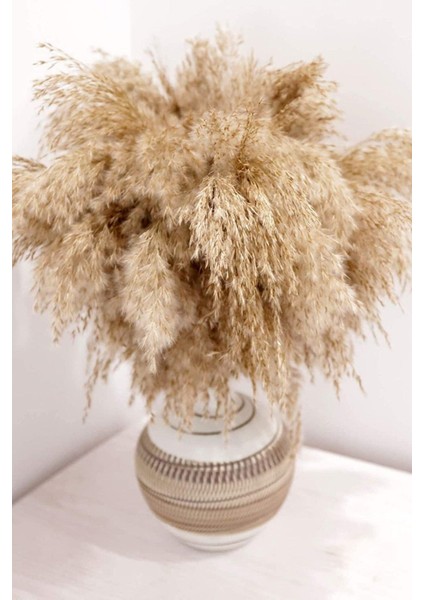 Pampas Otu Dekoru Uzun 10 Adet, 100 cm Boyundan Pampas Otu Zemin Vazo Için,