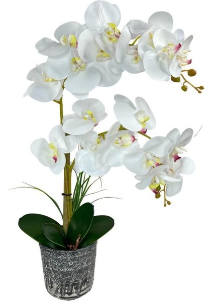 Yapay Çiçek 2li Beyaz Islak Orkide Seramik Saksıda Orkide 60 cm