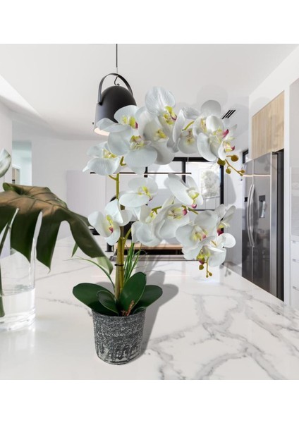 Yapay Çiçek 2li Beyaz Islak Orkide Seramik Saksıda Orkide 60 cm fiyatları