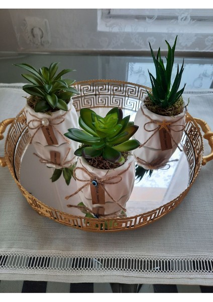 Sukulent Mini Çiçekler 3 Adet