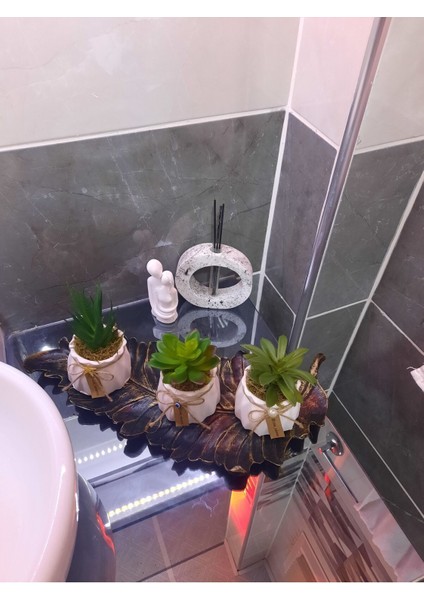 Sukulent Mini Çiçekler 3 Adet