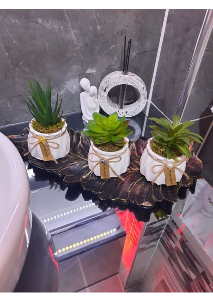 Sukulent Mini Çiçekler 3 Adet