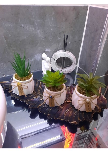 Sukulent Mini Çiçekler 3 Adet