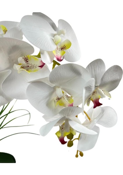 Yapay Çiçek 2li Beyaz Islak Orkide Seramik Saksıda Orkide 60 cm fırsatları