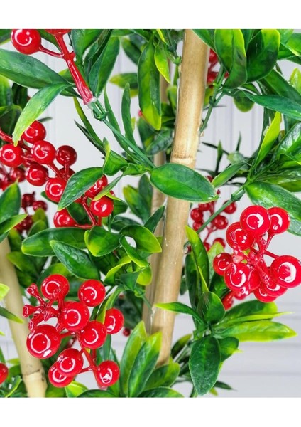 Yapay Ağaç Kokina Ağacı 75 cm Gür Yapraklı Gümüş Paslanmaz Aleminyum Saksılı modelleri