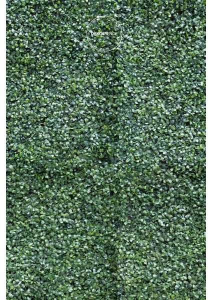 Yapay Çim Plaka Şimşir 40 x 60 cm