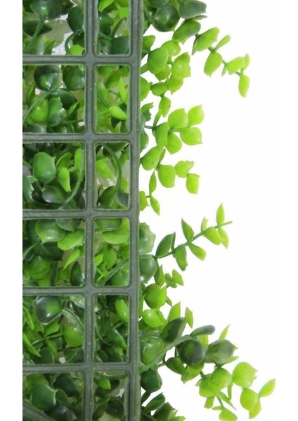 Yapay Çim Plaka Şimşir 40 x 60 cm modelleri