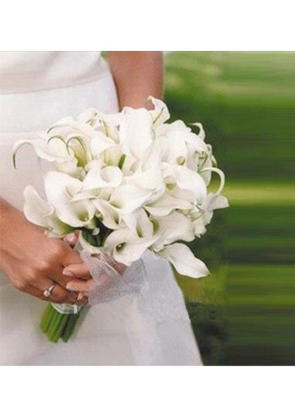 Yapay Çiçek Islak Gala Gerçeksi Eva Malzeme Cala Flower 8li Krem modelleri
