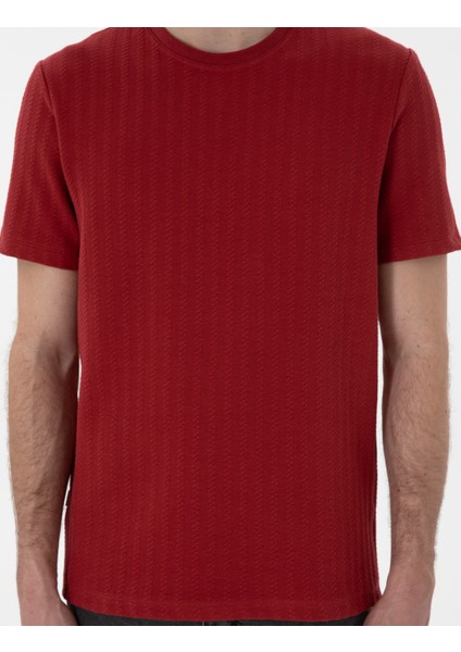 Erkek Nar Çiçeği Regular Fit Tişört 50302581-VR239