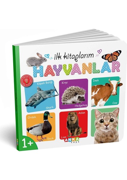 7202 Ilk Kitaplarım 6lı Set