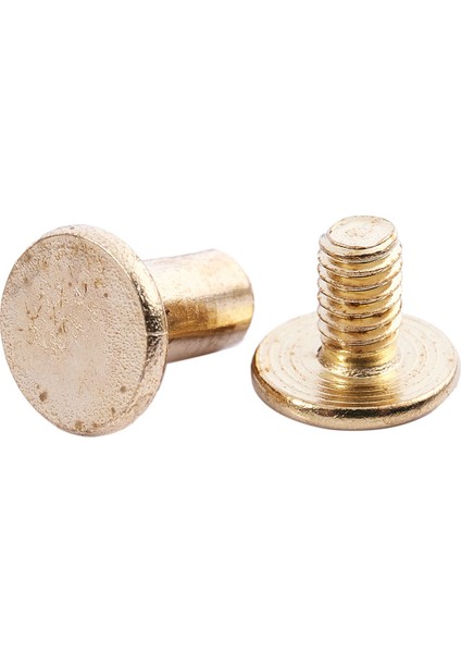 15 Adet 5MMX8MM Pirinç Kaplama Bağlama Chicago Vidası Para Kemeri (Yurt Dışından) fiyatları