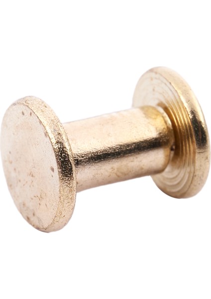 15 Adet 5MMX8MM Pirinç Kaplama Bağlama Chicago Vidası Para Kemeri (Yurt Dışından) modelleri