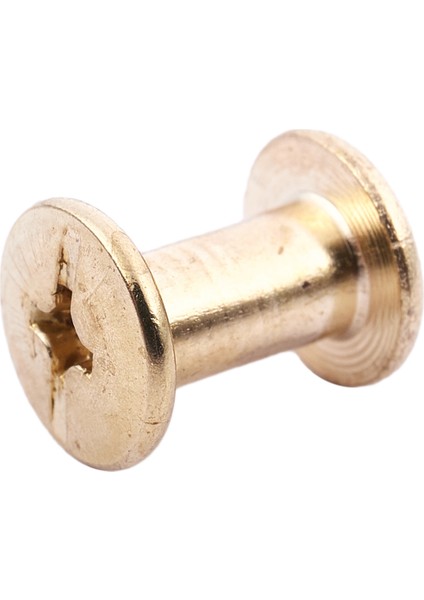 15 Adet 5MMX8MM Pirinç Kaplama Bağlama Chicago Vidası Para Kemeri (Yurt Dışından) fırsatları