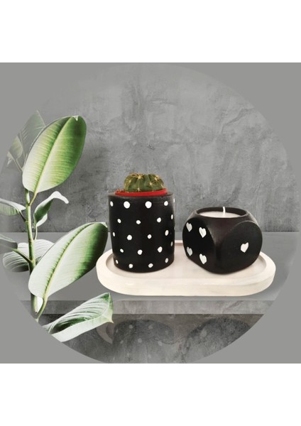 Mumluk ve Sukulentlik Set 3 Lü Beton Siyah Puantiyeli Dekoratif Hediyelik