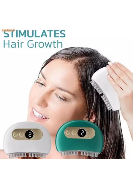 Elektrikl Akupunktur Noktası