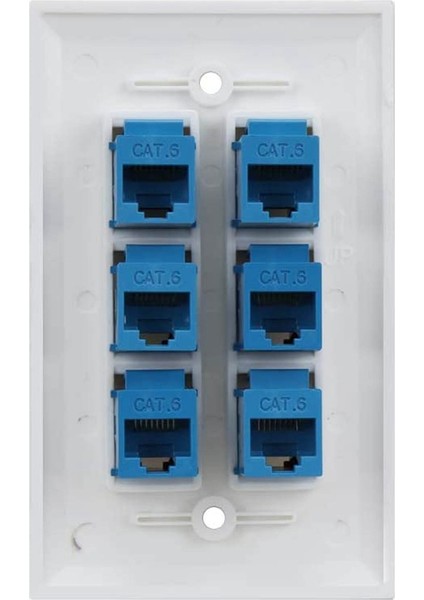 Cat 6 Ethernet Duvar Plakası 6 Port, Ethernet Duvar Plakası Dişi-Dişi Çıkarılabilir Cat7/6/6e/5/5e ile Uyumlu (Yurt Dışından) indirimleri