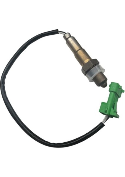 Sensör Lamda 206