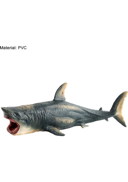 Büyük Megalodon Köpekbalığı Oyuncak Pratik Yetenek Paslanmaya Dayanıklı En Iyi Koleksiyon Gerçekçi Deniz Hayvanı Beyaz Köpekbalığı Heykelcik Dekor Için (Yurt Dışından)