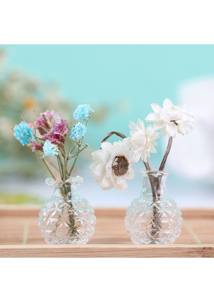 Adet 1:12 Evcilik Minyatürleri Cam Vazo Modeli Bebek Evi Saksı Dekor Oyuncak Cologo (Yurt Dışından) fiyatları