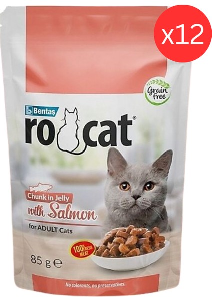 Ro Cat Yetişkin Kediler Için Somonlu Yaş Mama 85 gr x 12 Adet
