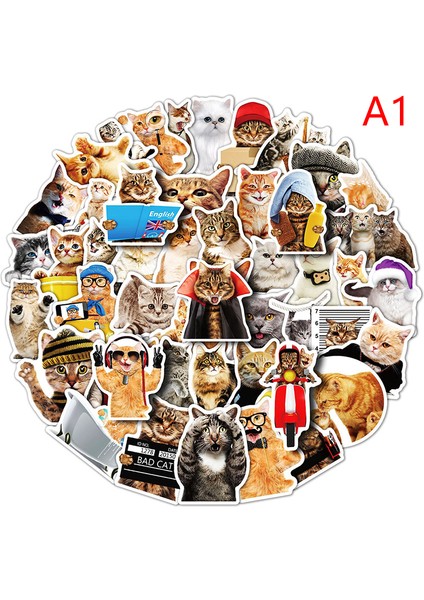 50 Adet Kedi Çıkartmalar Karikatür Çıkartmaları Dıy Dizüstü Bagaj Buzdolabı Araba Etiket Oyuncaklar Mj (Yurt Dışından)