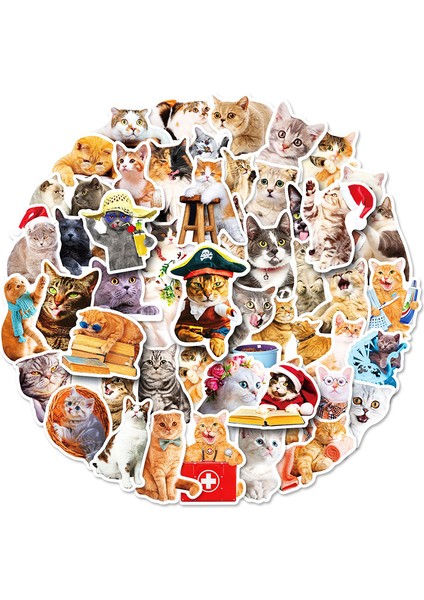 50 Adet Kedi Çıkartmalar Karikatür Çıkartmaları Dıy Dizüstü Bagaj Buzdolabı Araba Etiket Oyuncaklar Mj (Yurt Dışından) modelleri