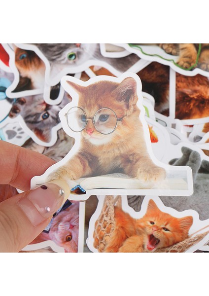 50 Adet Kedi Çıkartmalar Karikatür Çıkartmaları Dıy Dizüstü Bagaj Buzdolabı Araba Etiket Oyuncaklar Mj (Yurt Dışından) indirimleri
