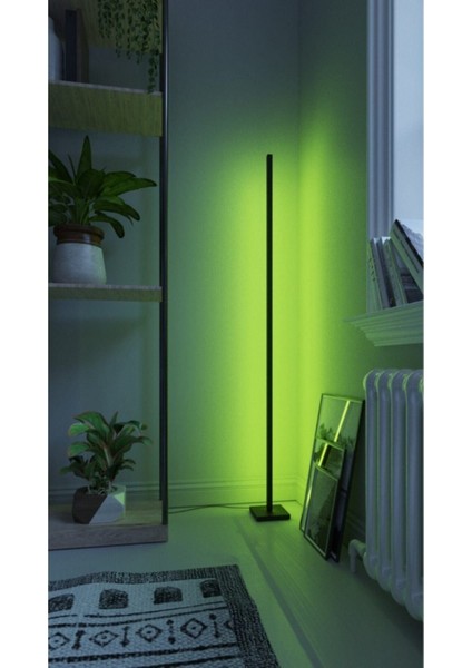 Lıght Modern Rgb 256 Renk Dekoratif Lambader LED Işık Sistemi