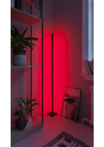 Lıght Modern Rgb 256 Renk Dekoratif Lambader LED Işık Sistemi