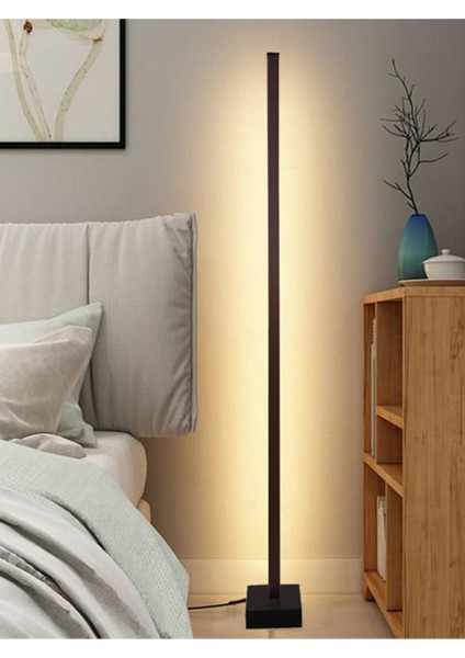 Lıght Modern Rgb 256 Renk Dekoratif Lambader LED Işık Sistemi