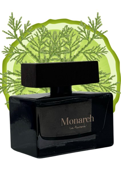 Stronger Wıth Yuo Intensly Yüksek Esans Kalıcı Erkek Parfum The Monarch Afrodizyak Edp indirimleri