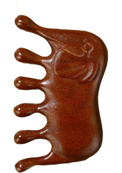 Çok Fonksiyonlu Masaj Kaburga Tarağı (Yurt Dışından)