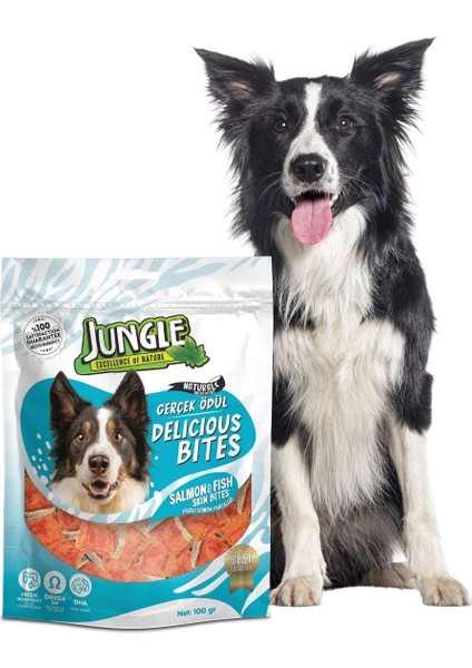 Köpek Ödül Maması Somon Dilimleri 100 Gr. fiyatları