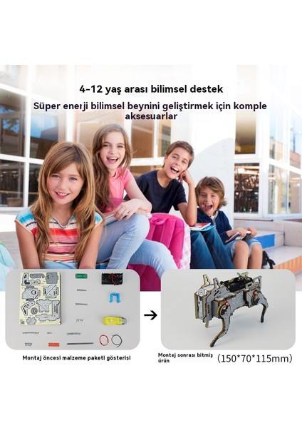 Teknoloji Küçük Üretim Öğretim Öğrencileri Için Diy Ses Etkinleştirilmiş Mekanik (Yurt Dışından) fırsatları
