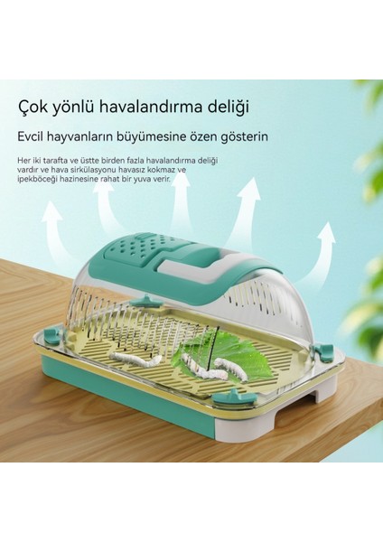 Çocuk Böcekleri Açık Hava Gözlem (Yurt Dışından) fiyatları